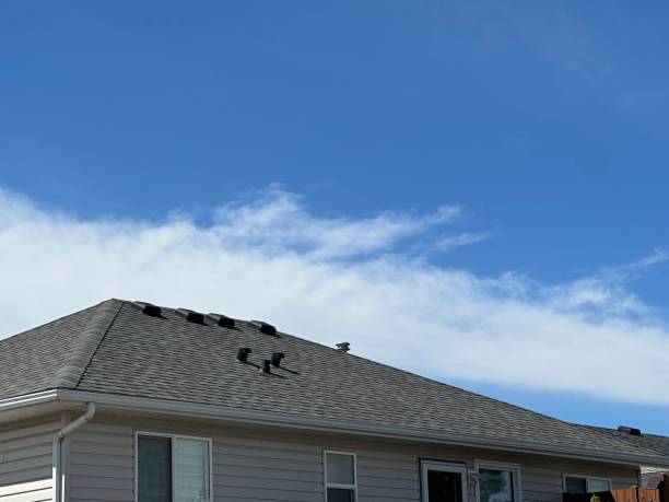 Best Rubber Roofing (EPDM, TPO)  in Crete, NE